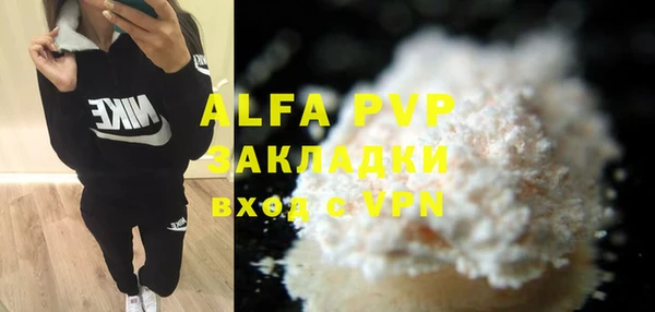 амф Верея