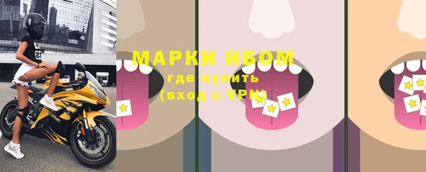 амф Верея