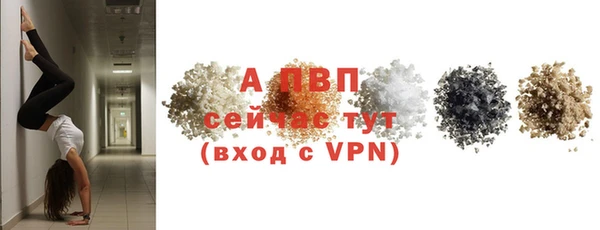 амф Верея