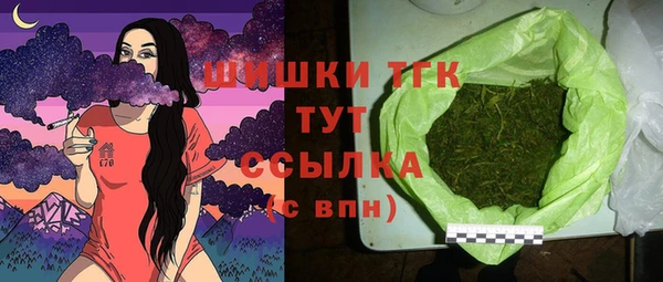 амф Верея