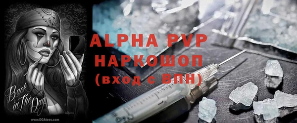 амф Верея