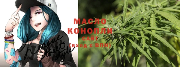 спиды Бородино
