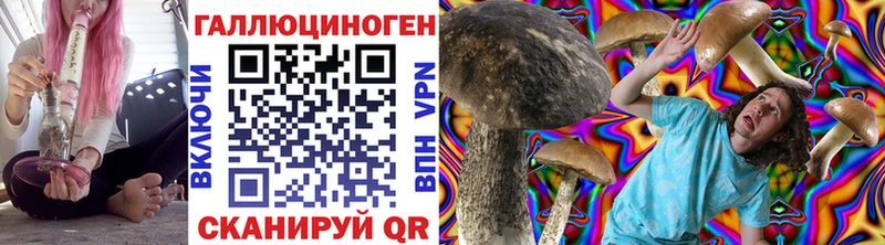 MEGA ссылка  наркота  Владивосток  Галлюциногенные грибы Cubensis 